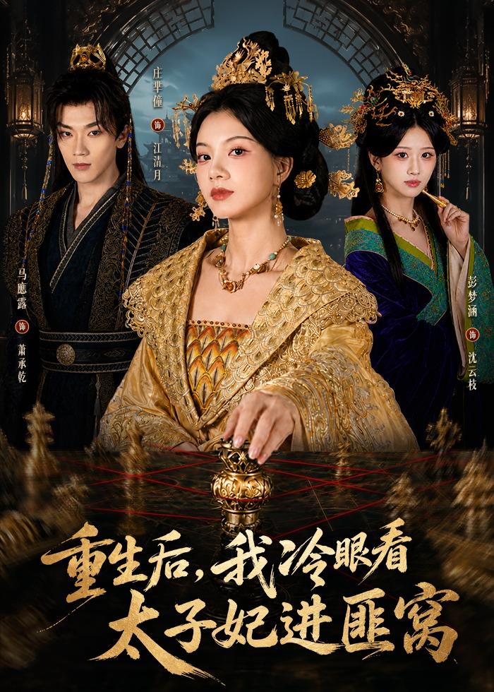重生后，我冷眼看太子妃进匪窝